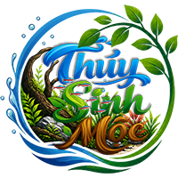 Thủy Sinh Mộc – Cung cấp phụ kiện thủy sinh và bể cá cảnh uy tín