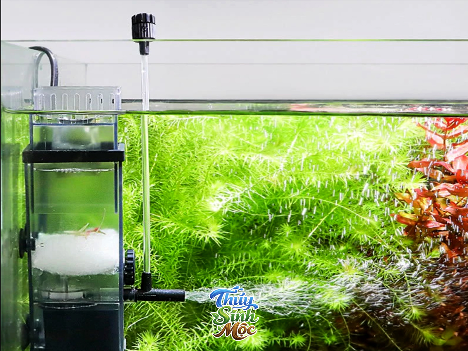 Lọc váng Sunsun JY-03 - Ảnh 4