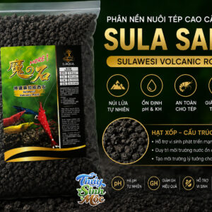 Nền nuôi tép Sula Sand (Sulawesi Volcanic Rock)