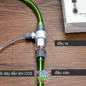 Alternative view of Trộn CO2 Qanvee