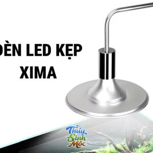 Đèn Xima (nhiều công suất)