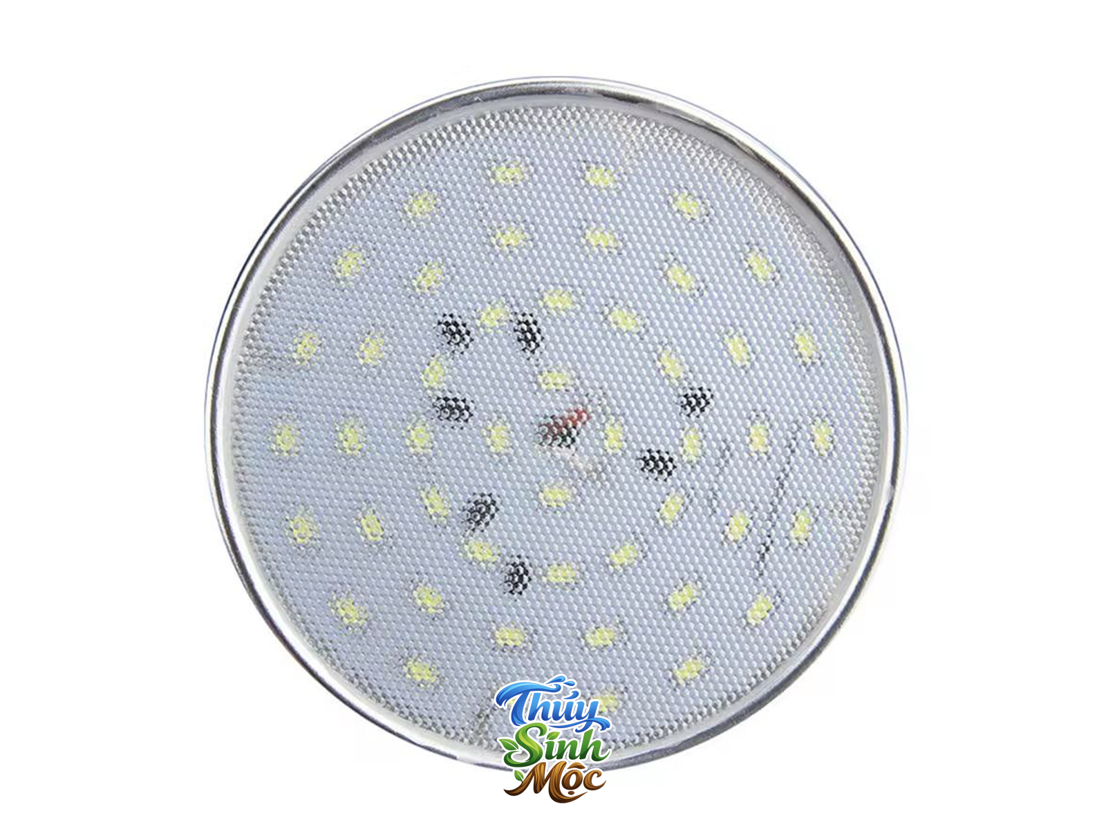 Đèn Xima (nhiều công suất) - Ảnh 4